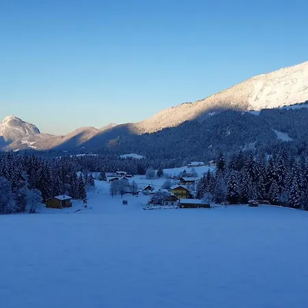 Lederhof * Abtenau