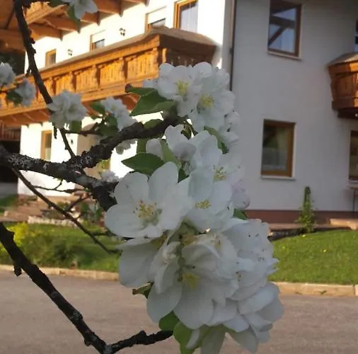 公寓 Lederhof