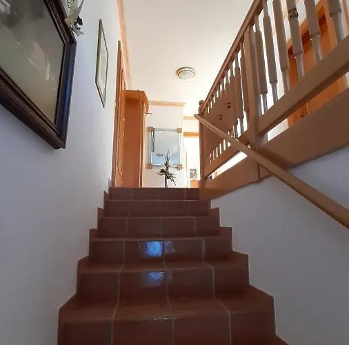 Lederhof * 阿布特瑙